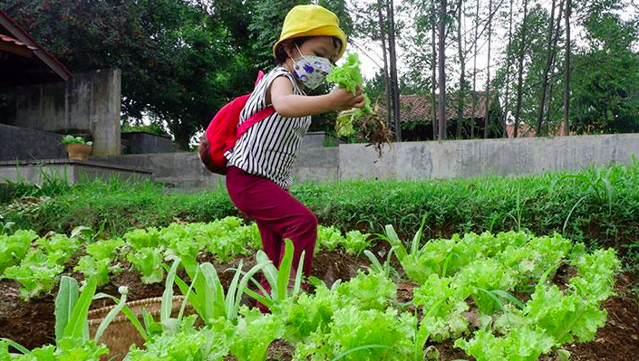 Wisata edukasi di Indonesia
