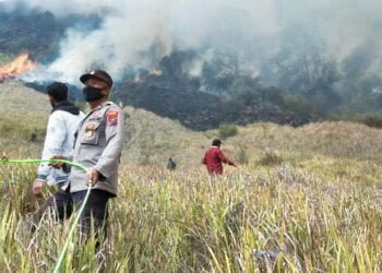 Kebakaran di Gunung Bromo: Mengenal Penyebab dan Dampaknya