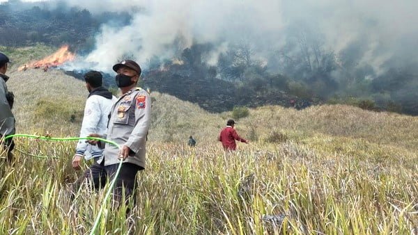 Kebakaran di Gunung Bromo: Mengenal Penyebab dan Dampaknya