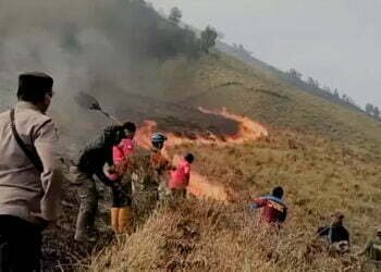 Insiden Kebakaran Hutan di Bromo