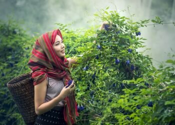 10 contoh keberagaman di indonesia