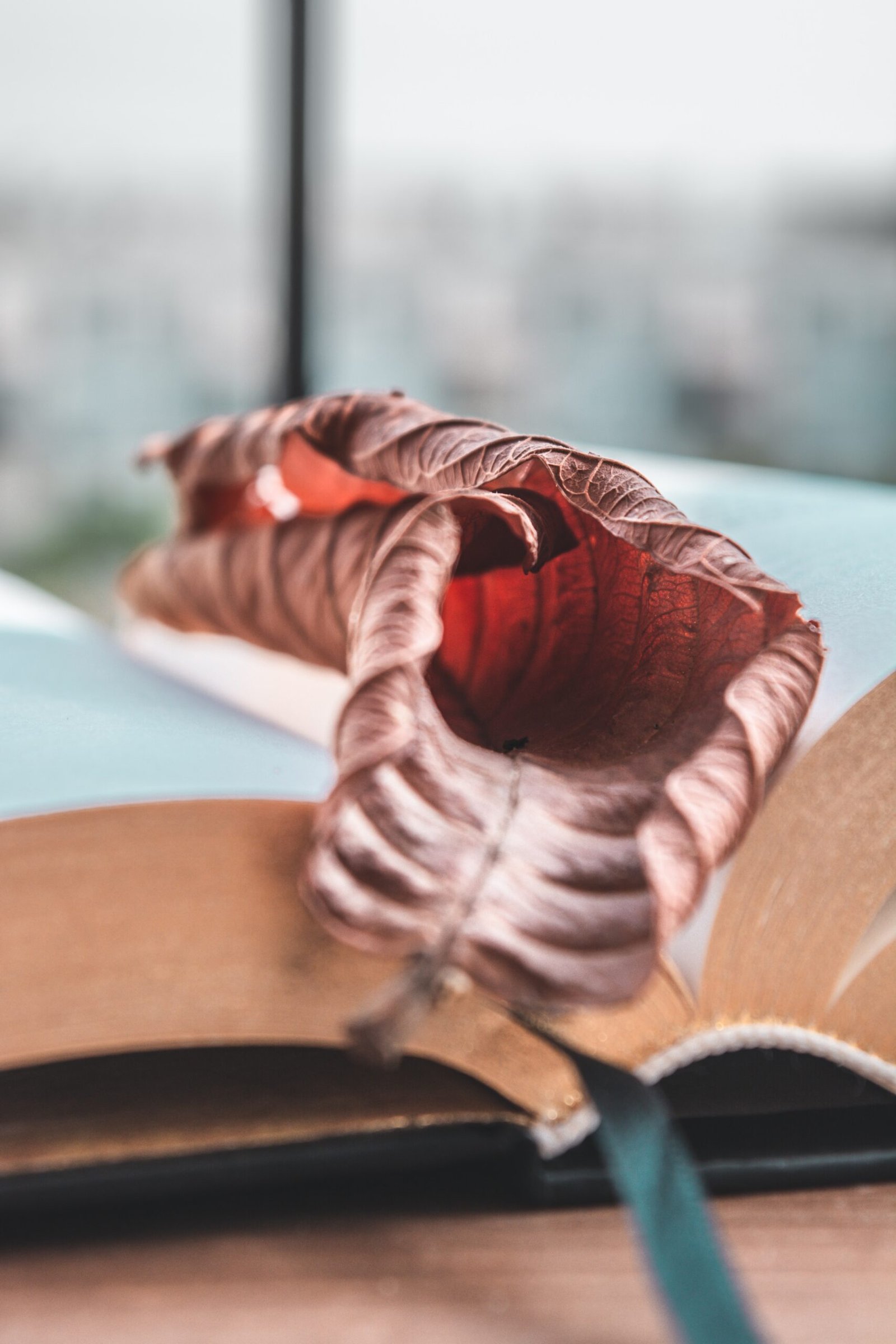 brown wooden heart shaped table decor