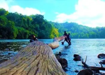 Oleh : Kamilah Mahasiswa STIT Raden Santri Gresik.