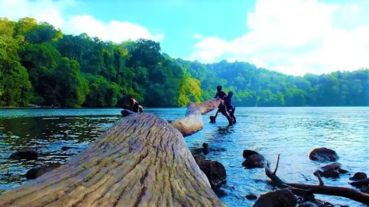 Oleh : Kamilah Mahasiswa STIT Raden Santri Gresik.