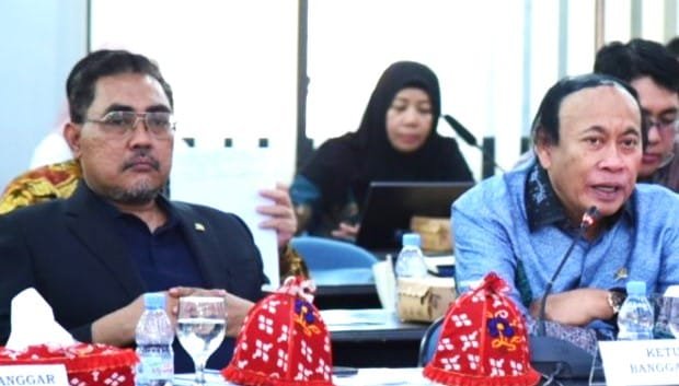 Tim Banggar DPR RI Tinjau Progres Ekonomi dan Keuangan di Sulawesi Tengah
