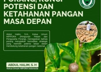 Dinas Pertanian dan Ketahanan Pangan Kalsel Dukung Industri Porang, HIPPORA Sambut Positif