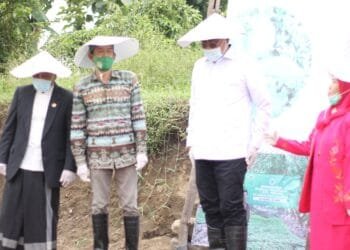 Budidaya Porang, Peluang Emas bagi Petani: HIPPORA Dorong Dukungan Pemerintah