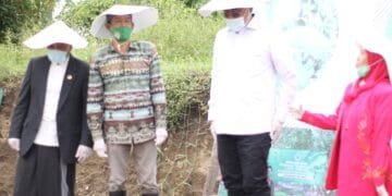 Budidaya Porang, Peluang Emas bagi Petani: HIPPORA Dorong Dukungan Pemerintah