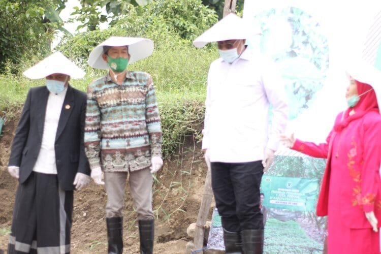 Budidaya Porang, Peluang Emas bagi Petani: HIPPORA Dorong Dukungan Pemerintah